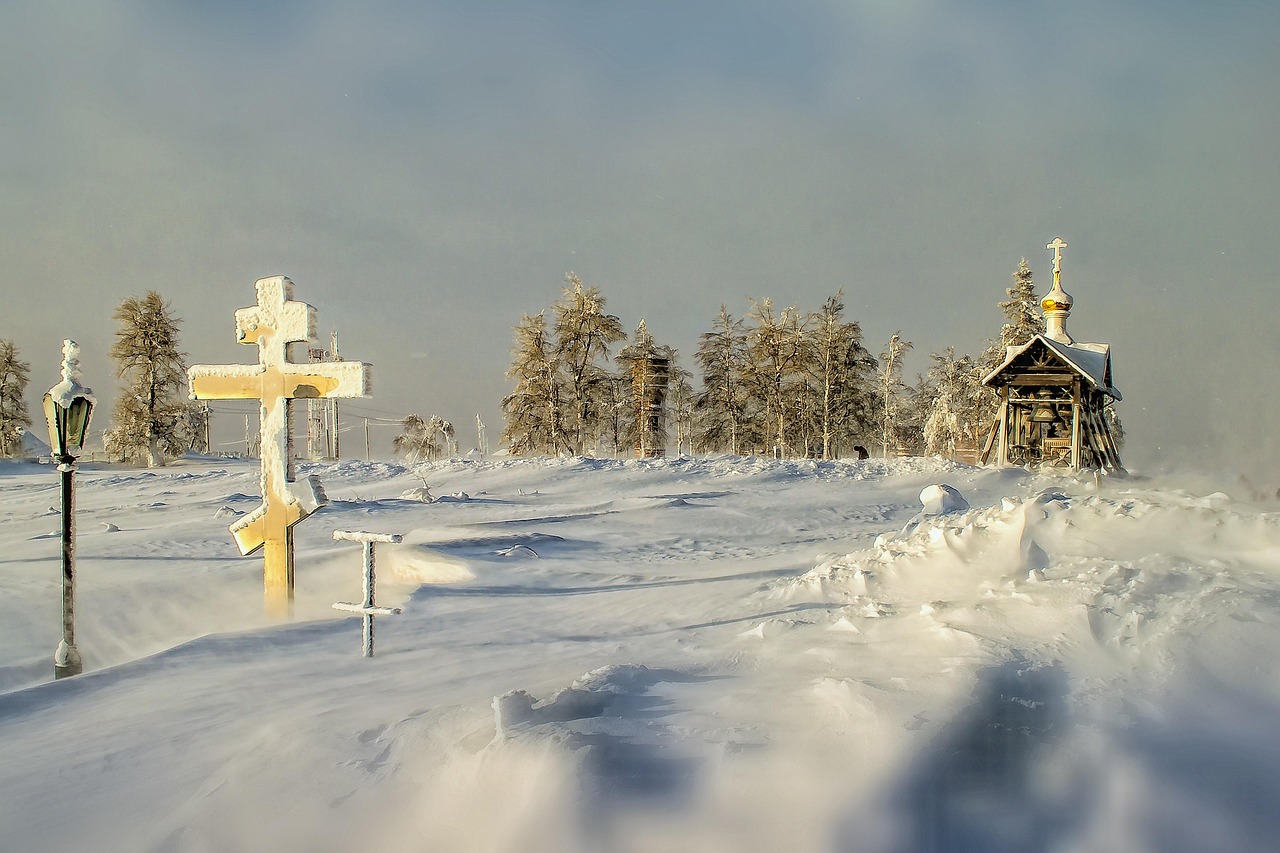 星光璀璨下的寒雪，演员寒雪的坚韧之旅