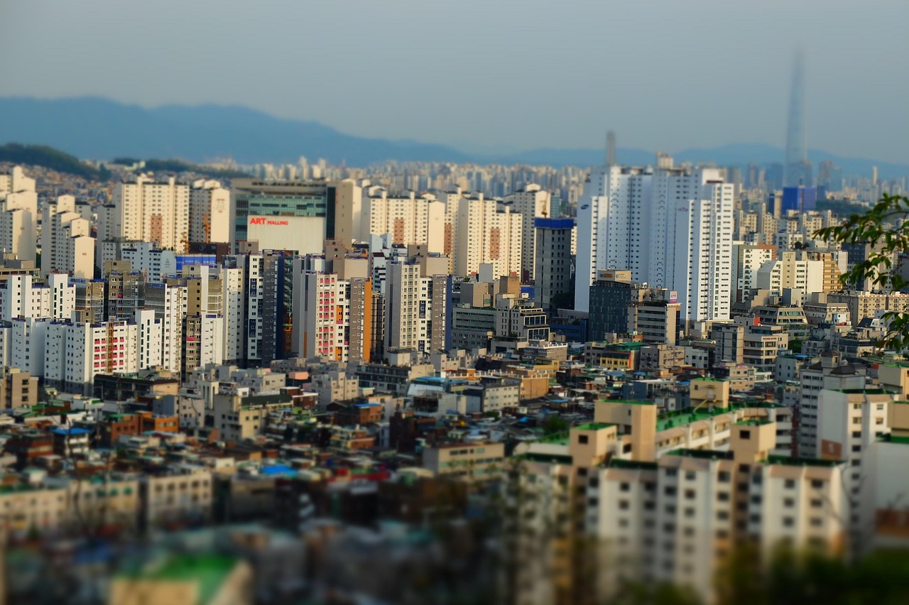 五月泾阳新区规划更新，开启新的篇章